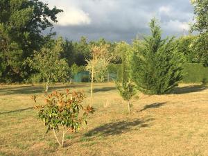 Maisons de vacances Cool Landes : photos des chambres