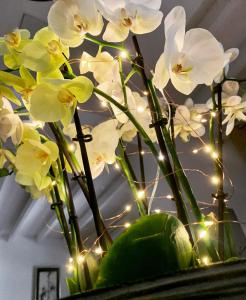 Appartements 45BB Apartment : photos des chambres