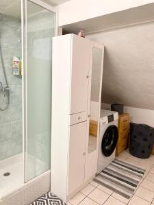 Appartements Charmant appart sous toits proche Chateau des Ducs : photos des chambres