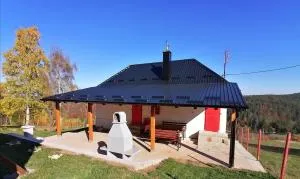 Tara Suncani sjaj-planinska kuca - Šljivovica