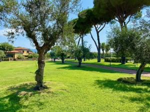 Appartamento Olimpia