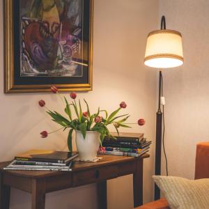 Apartmaji Aucin - Brda