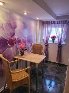 Ferienwohnung Jasmin in Schönau bei Heidelberg FEWO 4 Souterrain - 内卡尔格明德