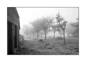 B&B / Chambres d'hotes Ferme de Noyes : photos des chambres