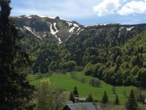 Chalets chalet le balcon du Sancy - location du samedi au samedi - linge de lits fournis - option menage fin de sejour non proposee : photos des chambres