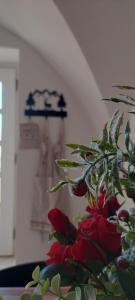 La Fontana di Casa Bernardi, terrazzo Wi-Fi PetFriendly con Area Cani