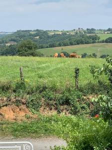 Maisons de vacances LA FERME : photos des chambres