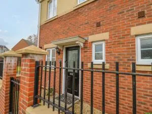 6 Erwr Brenhinoedd - Derwydd