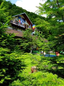 Pensiunea Valea Negrasului