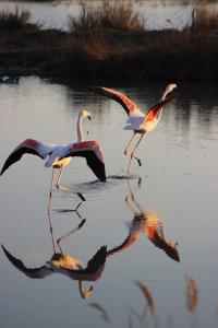 B&B / Chambres d'hotes Lou Meinado, un concept 