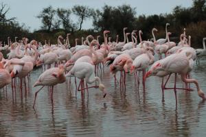 B&B / Chambres d'hotes Lou Meinado, un concept 