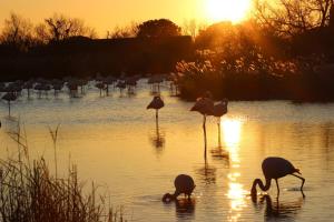 B&B / Chambres d'hotes Lou Meinado, un concept 