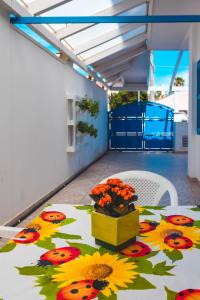 Appartement avec Balcon