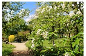 Chambres dhôtes Les Vignes