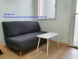 Appartements Angers Green Lodge - Cosy Studio : Appartement 1 Chambre