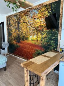 Appartements Balade en Foret, 3min du Zoo : Appartement 1 Chambre