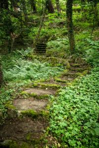 Bain de forêt - Lodges Cosy & Spa