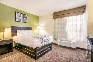 Double Room - Non-Smoking  room in Sleep Inn & Suites Jacksonville near Camp Lejeune