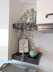 Appartements Le filet Cherbourgeois : photos des chambres