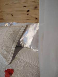 Refúgio das Araucárias