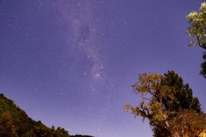 Refúgio das Araucárias