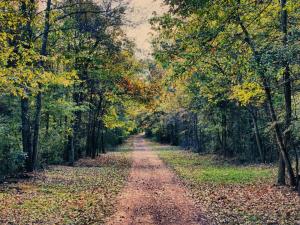 Serene and Modern 5 Location, Queen Bed, Parking