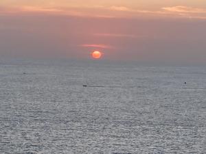 Jungle Beach Restaurant And Hotel-JBR