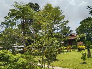 Khao Sok River & Jungle Resort