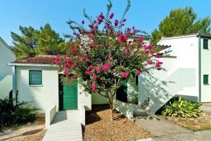 Apartments in Zaton Holiday Resort with pool area 