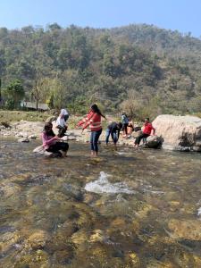Creek Forest - Riverside Boutique Resort