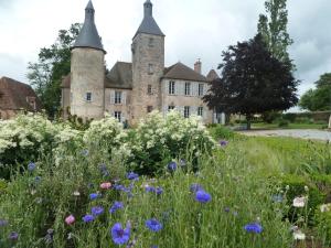 B&B / Chambres d'hotes Chateau de Clusors : photos des chambres