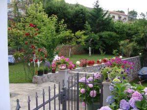 Villa Bregi with Swimming Pool