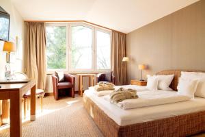 Standard Double Room room in Waldhotel Tannenhäuschen