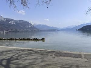 Appartements Azur bleu, 4 etoiles Annecy centre-ville et lac, lumineux : photos des chambres