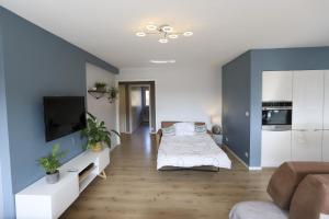 Appartements Azur bleu, 4 etoiles Annecy centre-ville et lac, lumineux : photos des chambres