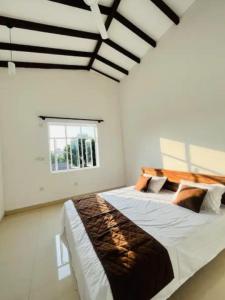 Breezy Brand-New Green Tops Villa