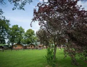 Buiten aan de Baak - Heiningen