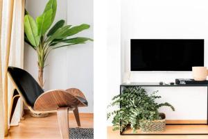 Apartamento Malagueta