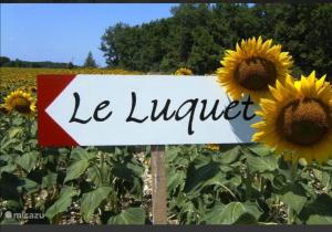 Maisons de vacances Gite l' Embrassement le Luquet Saint Beauzeil 82 : photos des chambres