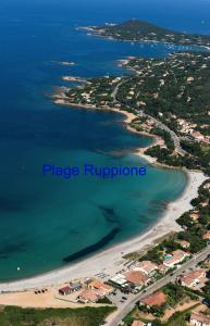 Appartements Vue mer panoramique plage 30m. Porticcio : photos des chambres