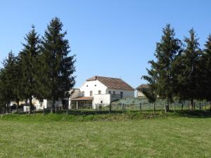 Maisons de vacances La Laiterie : photos des chambres