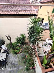 Appartamento con 1 Camera da Letto