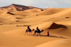 Merzouga Desert camp