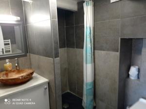 Appartements Le Terrier du Lapin Blanc : photos des chambres