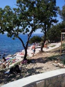 Apartment in Novi Vinodolski with sea view, terrace, air conditioning, Wi-Fi (3667-3)