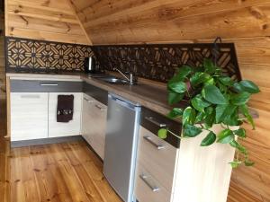 Aleksandra Viesu Namiņš