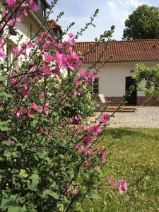 Sejours a la campagne Domaine d'Antigneul : photos des chambres