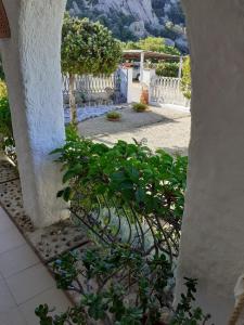 Aduepassidalmare img7