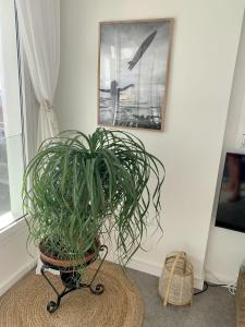 Sunset Ocean View Apartment mit Parking