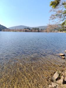 Appartement Vue sur les pistes de ski et en bas de la station
